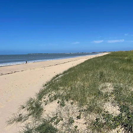 L'aventurine No Barbâtre