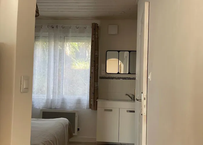 L'aventurine No Barbâtre