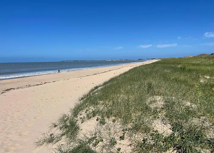 L'aventurine No Barbâtre